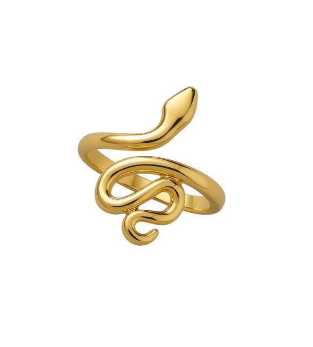Slither Charm Ring