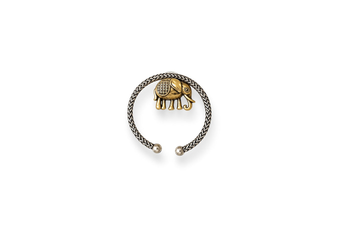 Gajika Hoops