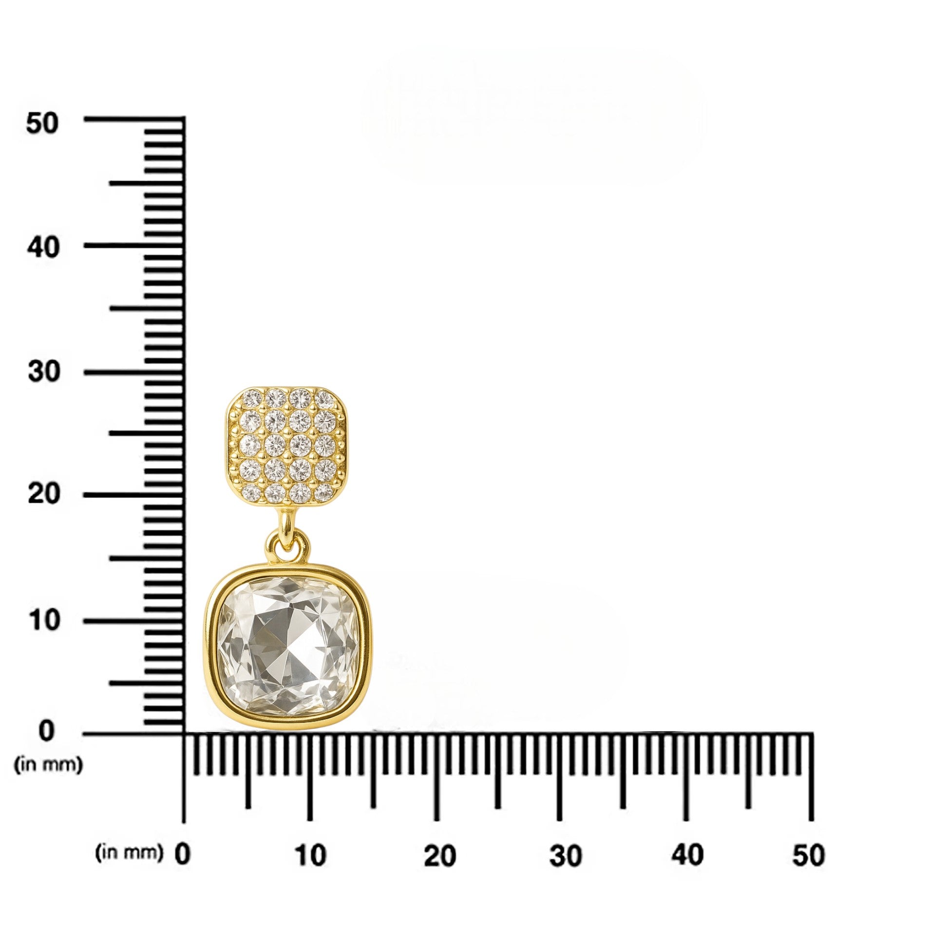 Dalbit Shine Earrings